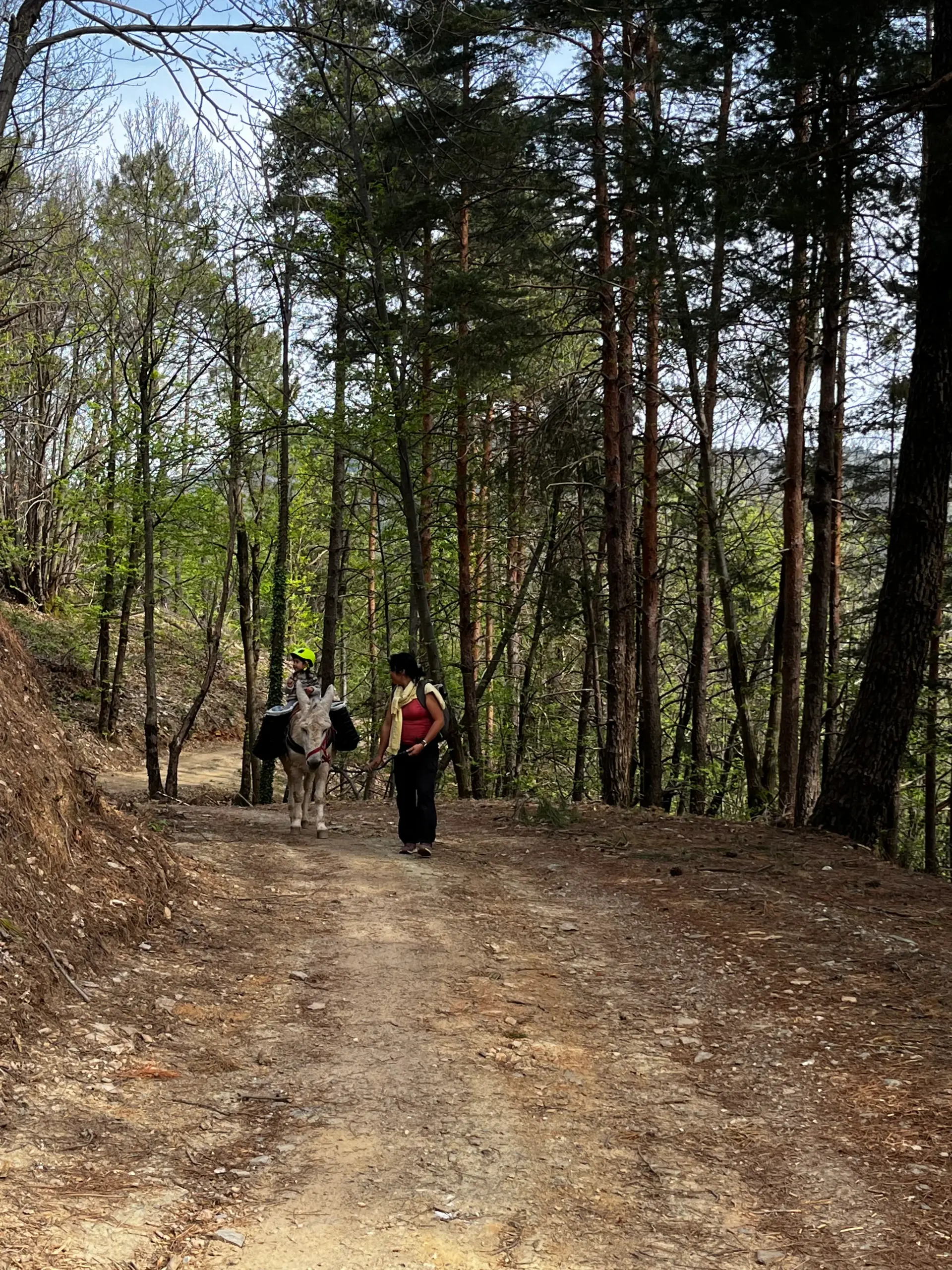 Chemin de Stevenson GR70 dans les Cévennes, randonnée avec âne sur les traces de Modestine